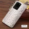 Кожаный чехол бампер для Samsung Galaxy Note 20 Ultra Anomaly Python Plate White (Белый) 