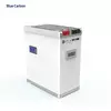 Аккумулятор для ИБП Blue Carbon LiFePo4 Battery Pack 51,2V/100Ah 5120Wh (Низковольтный)