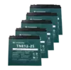 Тяговий акумулятор 60V 25Ah свинцево-кислотний TIANNENG TNE12-25 (5 шт.)