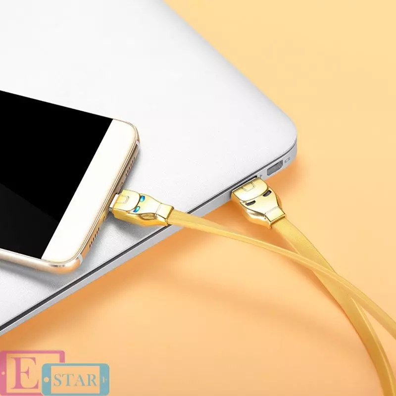 Кабель для зарядки и передачи данных Hoco U14 Steel Man USB to Type C Gold (Золото) Кабель для зарядки и передачи данных Hoco U14 Steel Man USB to Type C Gold (Золото)