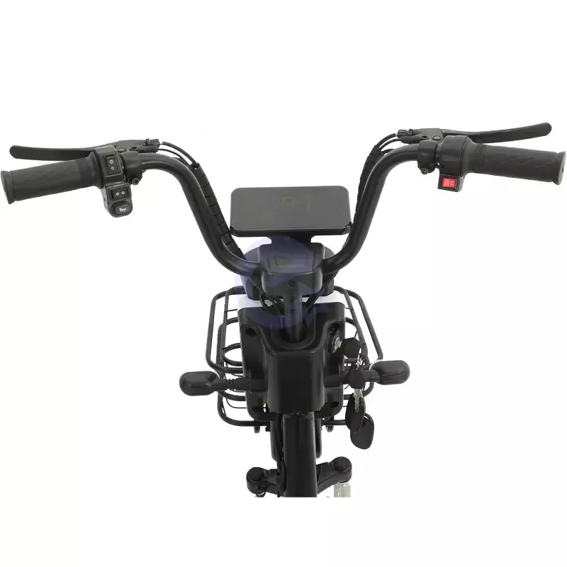 Электровелосипед Anomaly Energy Lucky TH026 750 Вт AGM Свинцово-кислотная батарея 48V 20AH Black (Черный)